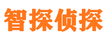 易门外遇调查取证